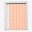 Solo Bellini Vertical Blinds - Zen Shades